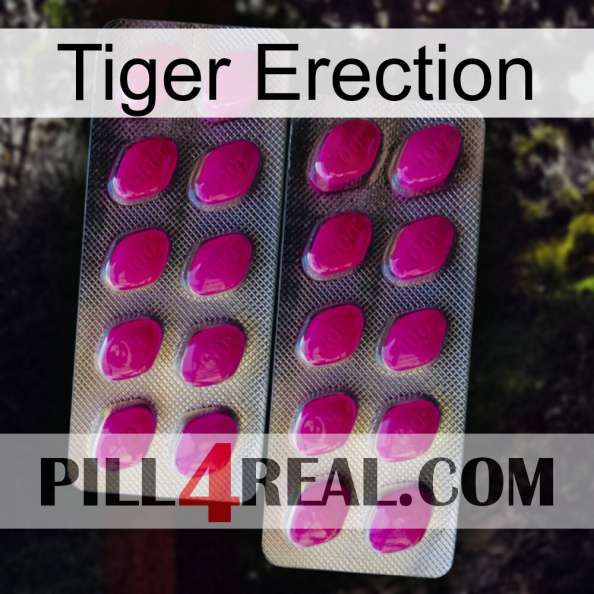 Tiger Erection 10.jpg